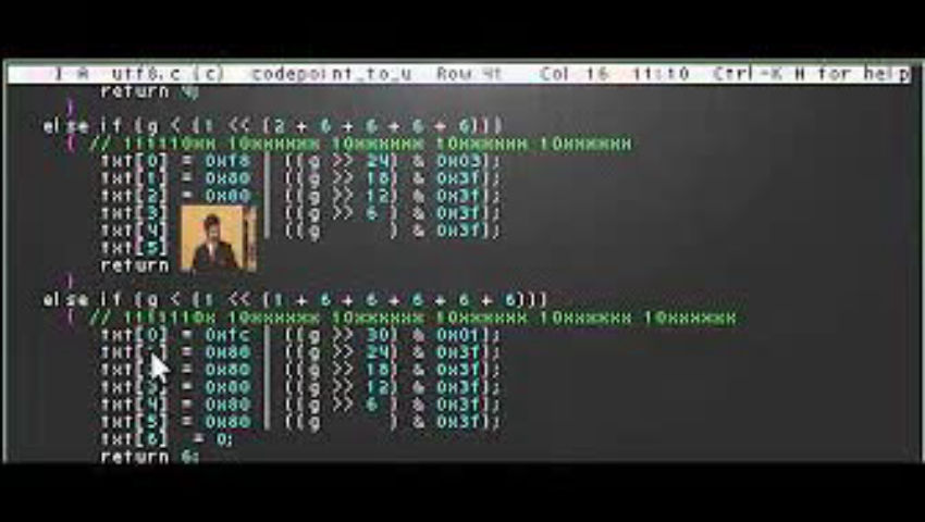 Video playing on Terminology's cursor